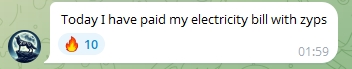 Paid for electricity bill with ZYPs